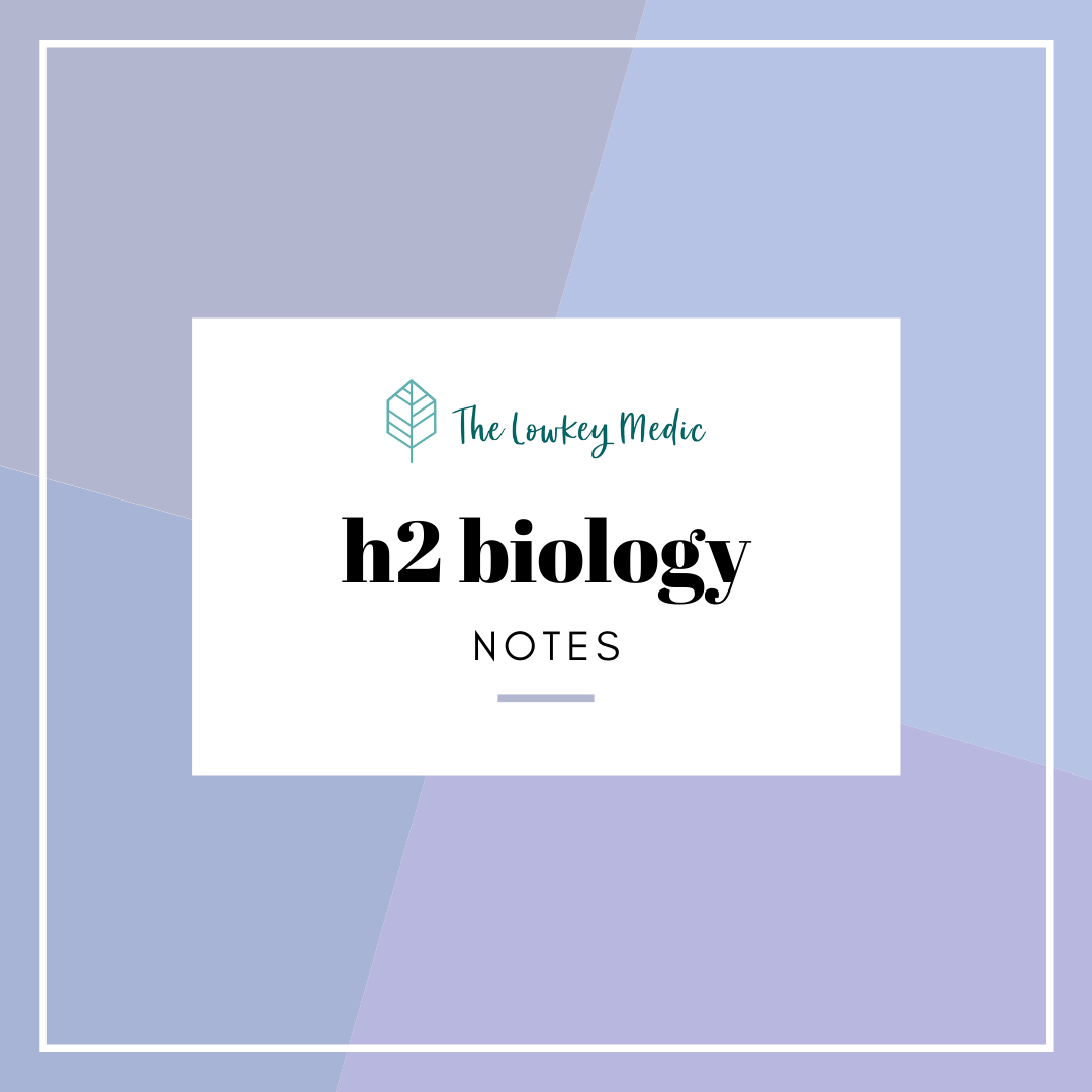 How To Study Biology: Tips For Smart Notes And Memorisation - The Lowkey Medic