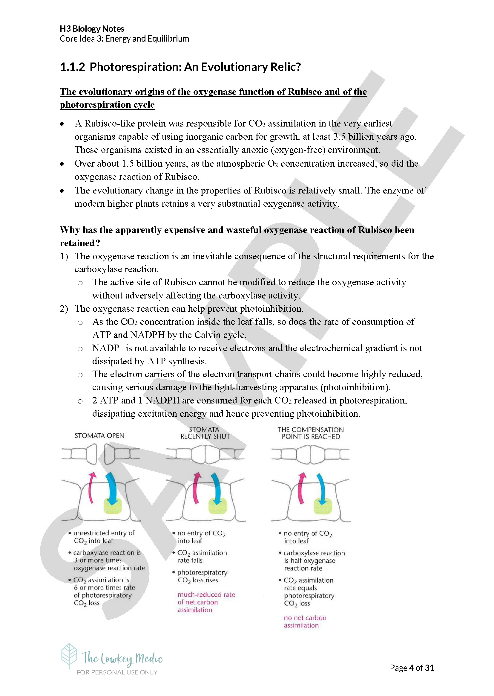 A-Level H3 Biology Notes - FREE - The Lowkey Medic