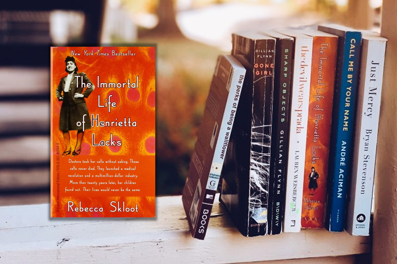 the immortal life of henrietta lacks book by rebecca skloot